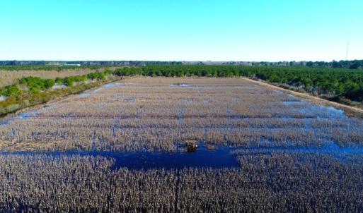 Photo of UNDER CONTRACT!  151 Acres of Duck Hunting Land with Home Site in Hyde County NC!
