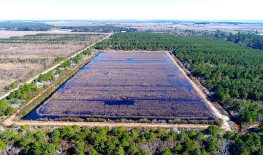 Photo of UNDER CONTRACT!  151 Acres of Duck Hunting Land with Home Site in Hyde County NC!
