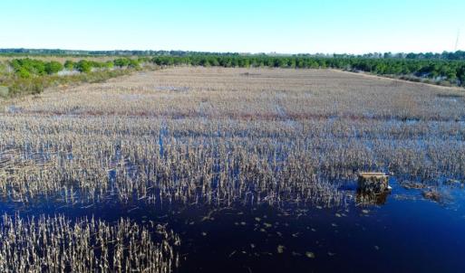 Photo of UNDER CONTRACT!  151 Acres of Duck Hunting Land with Home Site in Hyde County NC!
