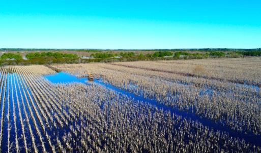 Photo of UNDER CONTRACT!  151 Acres of Duck Hunting Land with Home Site in Hyde County NC!