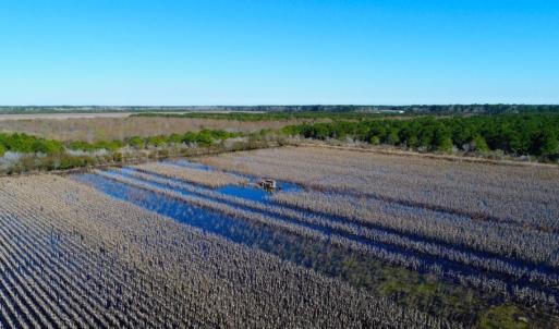 Photo of UNDER CONTRACT!  151 Acres of Duck Hunting Land with Home Site in Hyde County NC!