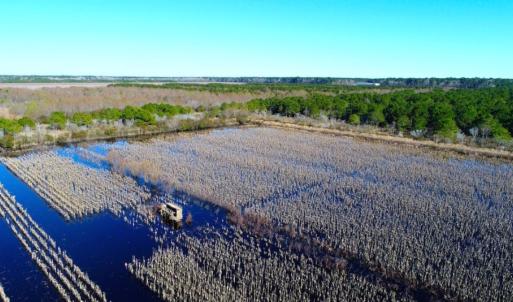 Photo of UNDER CONTRACT!  151 Acres of Duck Hunting Land with Home Site in Hyde County NC!