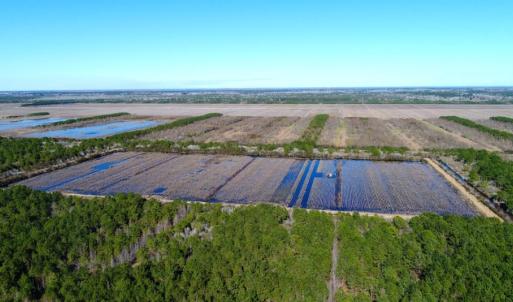 Photo of UNDER CONTRACT!  151 Acres of Duck Hunting Land with Home Site in Hyde County NC!