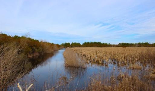 Photo of UNDER CONTRACT!  151 Acres of Duck Hunting Land with Home Site in Hyde County NC!