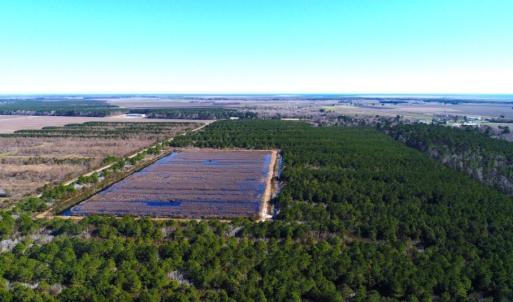 Photo of UNDER CONTRACT!  151 Acres of Duck Hunting Land with Home Site in Hyde County NC!
