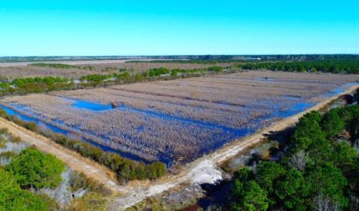 Photo of UNDER CONTRACT!  151 Acres of Duck Hunting Land with Home Site in Hyde County NC!