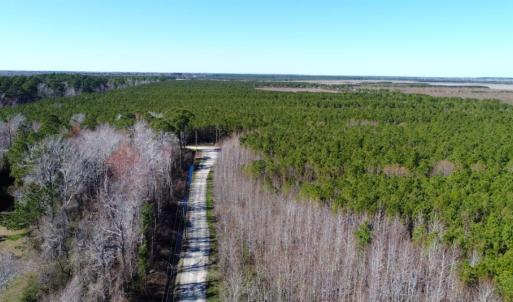 Photo of UNDER CONTRACT!  151 Acres of Duck Hunting Land with Home Site in Hyde County NC!