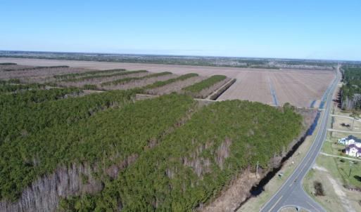 Photo of UNDER CONTRACT!  151 Acres of Duck Hunting Land with Home Site in Hyde County NC!