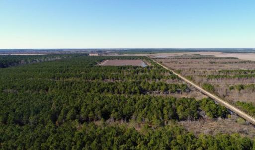 Photo of UNDER CONTRACT!  151 Acres of Duck Hunting Land with Home Site in Hyde County NC!