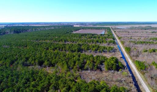 Photo of UNDER CONTRACT!  151 Acres of Duck Hunting Land with Home Site in Hyde County NC!