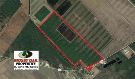 Photo of UNDER CONTRACT!  151 Acres of Duck Hunting Land with Home Site in Hyde County NC!