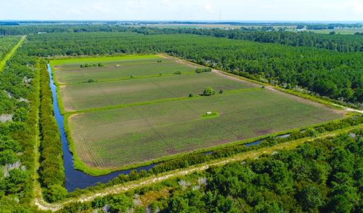 Photo of UNDER CONTRACT!  151 Acres of Duck Hunting Land with Home Site in Hyde County NC!