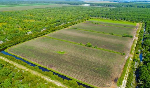 Photo of UNDER CONTRACT!  151 Acres of Duck Hunting Land with Home Site in Hyde County NC!