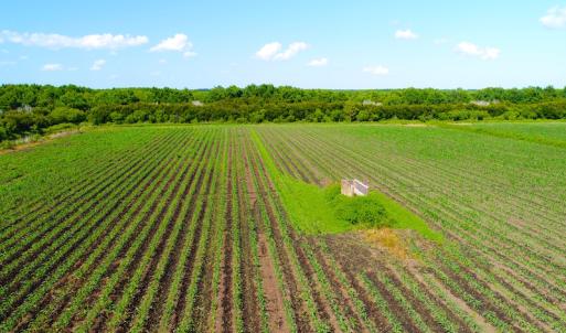 Photo of UNDER CONTRACT!  151 Acres of Duck Hunting Land with Home Site in Hyde County NC!