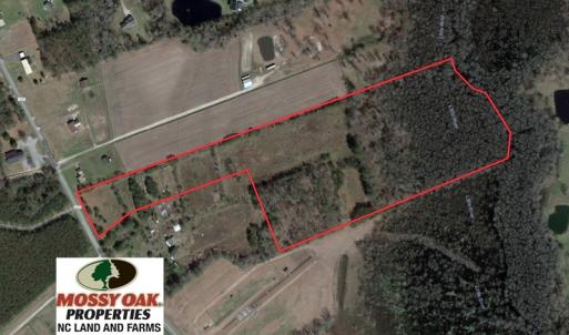 Photo of SOLD!  21 Acres of Farm and Timber Land For Sale in Perquimans County NC!