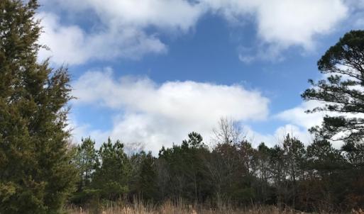 Photo of SOLD!  21 Acres of Farm and Timber Land For Sale in Perquimans County NC!