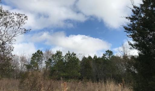 Photo of SOLD!  21 Acres of Farm and Timber Land For Sale in Perquimans County NC!