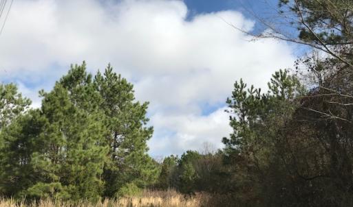Photo of SOLD!  21 Acres of Farm and Timber Land For Sale in Perquimans County NC!