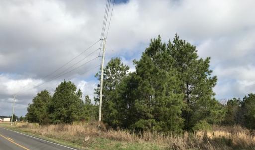 Photo of SOLD!  21 Acres of Farm and Timber Land For Sale in Perquimans County NC!