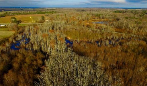 Photo of SOLD!  4.16 Acres of Residential Land For Sale In Halifax County NC!