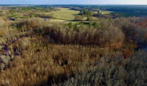 Photo of SOLD!  4.16 Acres of Residential Land For Sale In Halifax County NC!