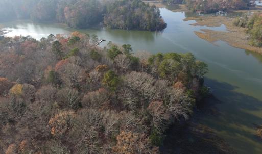 Photo of UNDER CONTRACT!  98 Acres of Waterfront Land For Sale in Isle of Wight County VA!