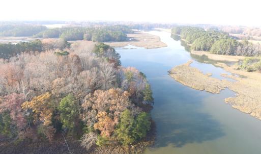 Photo of UNDER CONTRACT!  98 Acres of Waterfront Land For Sale in Isle of Wight County VA!