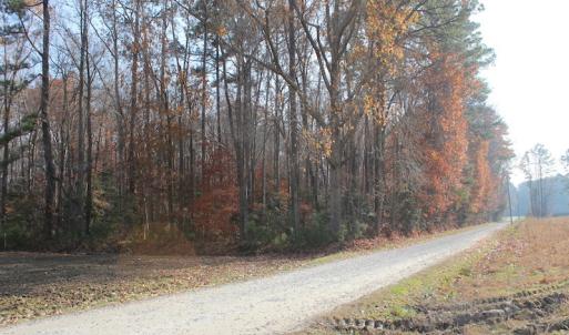 Photo of UNDER CONTRACT!  98 Acres of Waterfront Land For Sale in Isle of Wight County VA!
