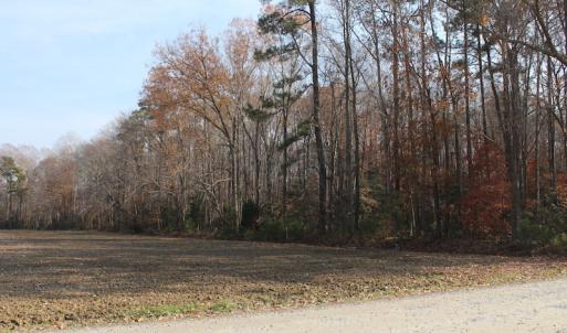 Photo of UNDER CONTRACT!  98 Acres of Waterfront Land For Sale in Isle of Wight County VA!