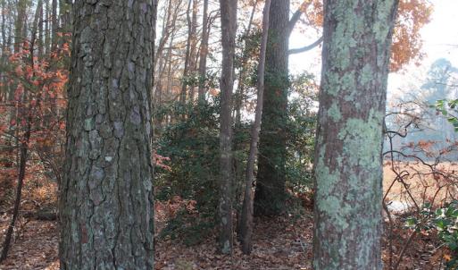 Photo of UNDER CONTRACT!  98 Acres of Waterfront Land For Sale in Isle of Wight County VA!