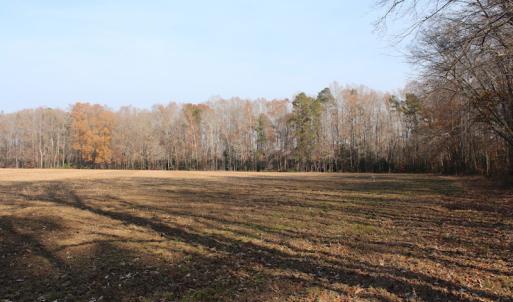 Photo of UNDER CONTRACT!  98 Acres of Waterfront Land For Sale in Isle of Wight County VA!
