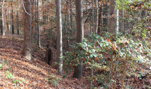 Photo of UNDER CONTRACT!  98 Acres of Waterfront Land For Sale in Isle of Wight County VA!