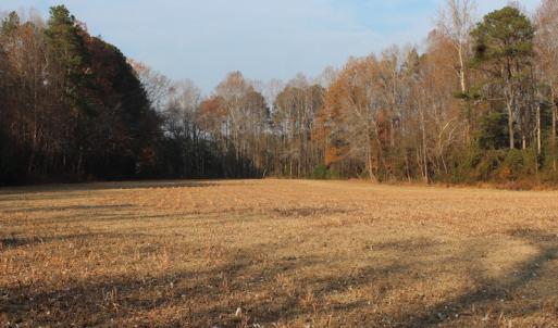Photo of UNDER CONTRACT!  98 Acres of Waterfront Land For Sale in Isle of Wight County VA!