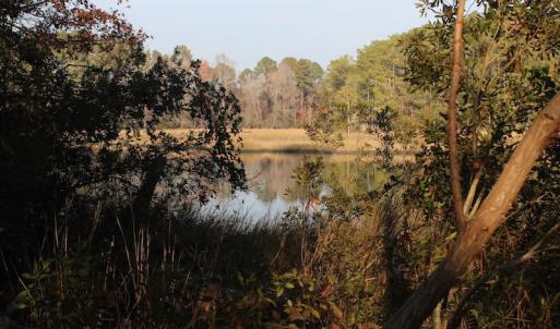 Photo of UNDER CONTRACT!  98 Acres of Waterfront Land For Sale in Isle of Wight County VA!