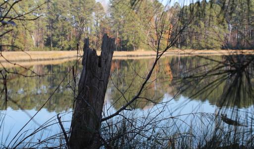 Photo of UNDER CONTRACT!  98 Acres of Waterfront Land For Sale in Isle of Wight County VA!
