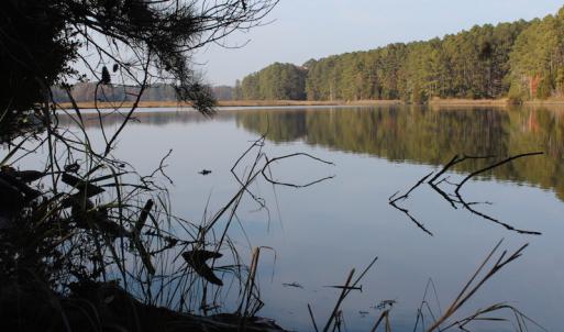 Photo of UNDER CONTRACT!  98 Acres of Waterfront Land For Sale in Isle of Wight County VA!