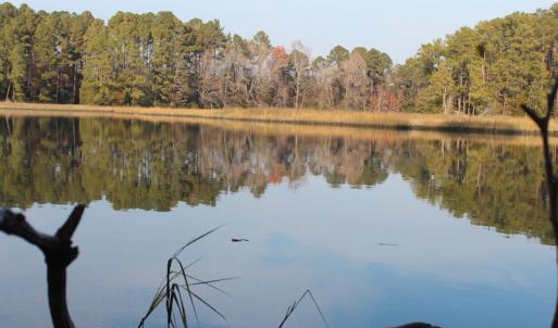 Photo of UNDER CONTRACT!  98 Acres of Waterfront Land For Sale in Isle of Wight County VA!