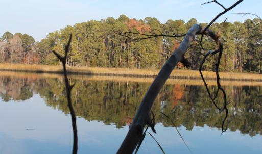 Photo of UNDER CONTRACT!  98 Acres of Waterfront Land For Sale in Isle of Wight County VA!