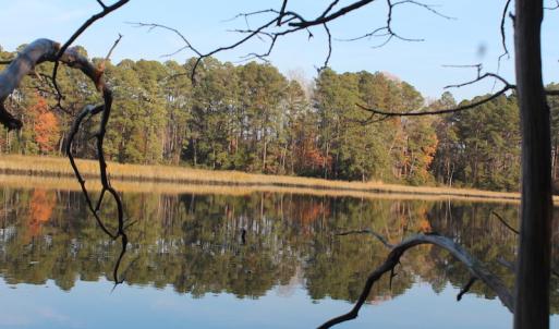 Photo of UNDER CONTRACT!  98 Acres of Waterfront Land For Sale in Isle of Wight County VA!