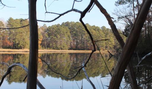 Photo of UNDER CONTRACT!  98 Acres of Waterfront Land For Sale in Isle of Wight County VA!