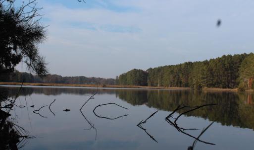 Photo of UNDER CONTRACT!  98 Acres of Waterfront Land For Sale in Isle of Wight County VA!