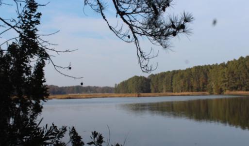 Photo of UNDER CONTRACT!  98 Acres of Waterfront Land For Sale in Isle of Wight County VA!
