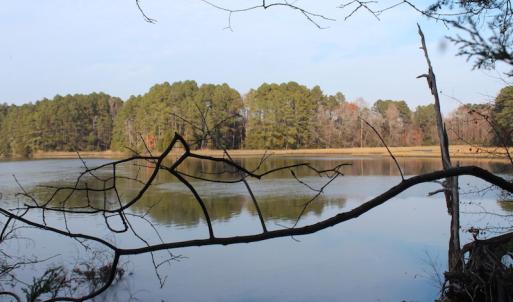 Photo of UNDER CONTRACT!  98 Acres of Waterfront Land For Sale in Isle of Wight County VA!