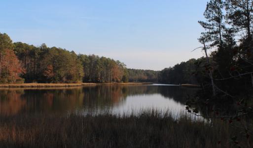 Photo of UNDER CONTRACT!  98 Acres of Waterfront Land For Sale in Isle of Wight County VA!