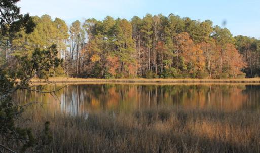 Photo of UNDER CONTRACT!  98 Acres of Waterfront Land For Sale in Isle of Wight County VA!