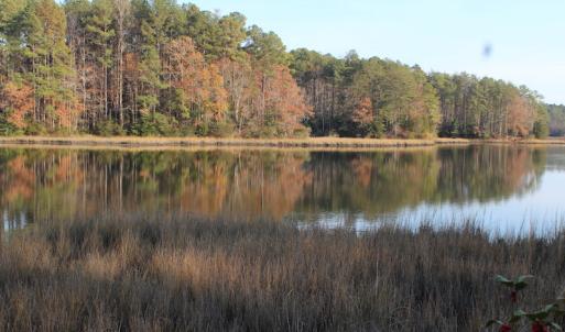 Photo of UNDER CONTRACT!  98 Acres of Waterfront Land For Sale in Isle of Wight County VA!