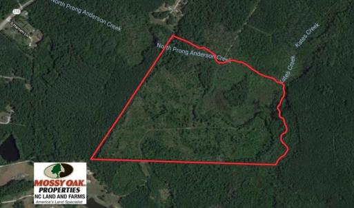 Photo of UNDER CONTRACT!  87 Acres of Hunting and Timber Land For Sale in Harnett County NC!