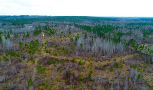 Photo of UNDER CONTRACT!  87 Acres of Hunting and Timber Land For Sale in Harnett County NC!