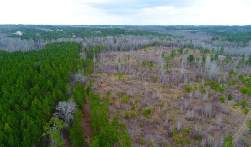Photo of UNDER CONTRACT!  87 Acres of Hunting and Timber Land For Sale in Harnett County NC!