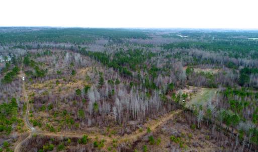 Photo of UNDER CONTRACT!  87 Acres of Hunting and Timber Land For Sale in Harnett County NC!